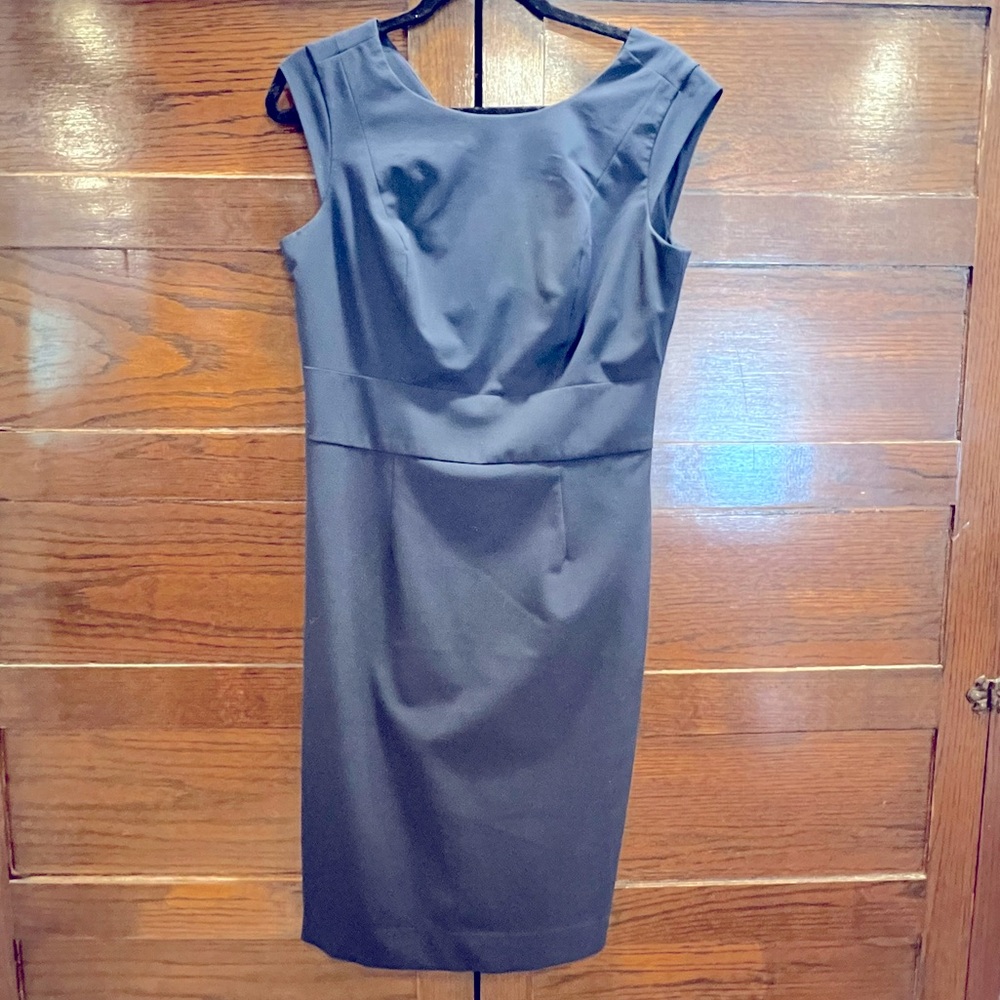 The Limited sz 10 Navy Sheath Lined Suiting Dress Pencil Skirt beautiful fitted